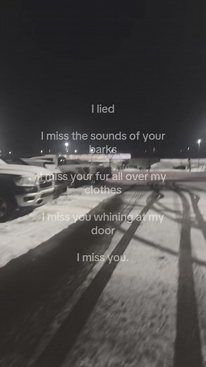 #petloss #grief #doggrief #sad #animals | animals