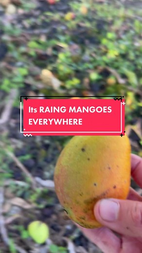 Kelli - The TreeHouseChick on TikTok