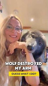 MY WOLF ATE MY ARM!