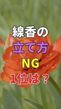 ㊗️50万再生🎊 絶対にやってはいけない線香の立て方1位は #知恵 #名言 #開運 #雑学 #老後