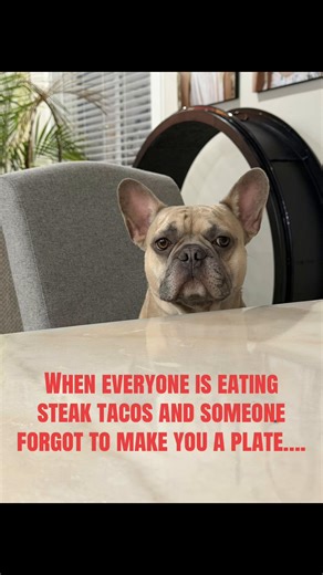 Kellyrozz (@kellyrozz)’s videos with original sound - Joe Gunn