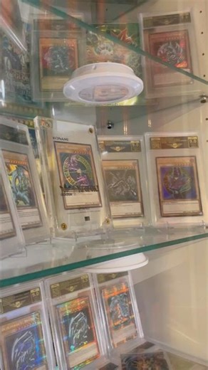 Yugioh Sammlung Chibi 🔥🔥Ordner #yugioh #anime #yugiohcommunity #yugiohcards #yugiohtcg