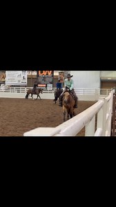 Congratulations to Tiffany Ackerson of Twisted Fate Performance Horses on a job well done jump riding our gelding Copper in Tuesday’s AQHA Working Western Rail class! You two rocked it & won the class‼️🙌🏻 This seasoned show gelding will be available soon for your consideration. Stay tuned for details! #AQHA #WorkingWesternRail #PerformanceHorses #ShowHorses #EquineProfessionals #HorseBusiness #ForYourConsideration #ShowGelding #TwistedFatePerformanceHorses #EquestrianLife #HorseIndustry | Schm