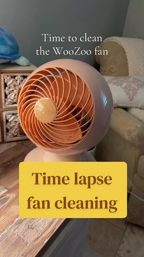 WooZoo fan cleaning time lapse — satisfying fan cleaning video