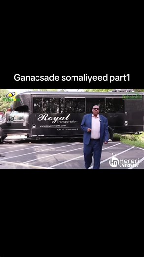 Somali Businessman Insights: Part 1