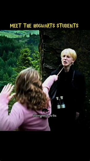 Meet the Hogwarts students #potterhead #harrypotter #ytshorts