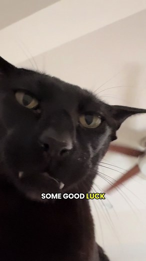 Larry Luck: The Best Kind of Luck