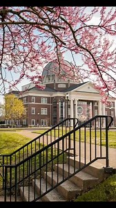 2.4K views · 59 reactions | Counting down the days until spring  #UnionUniversity #WeAreUU #campusvisit | Union University | Facebook