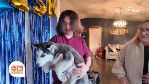 🐾 It’s Wish Wednesday, sponsored by Parker & Sons Heating, Cooling, Plumbing and Electrical, and this one is paws-itively adorable! Brian had a lifelong dream of a gray and white husky puppy, and thanks to Make-A-Wish Arizona, his wish went from a long shot to a fur-sure thing. It was puppy love at first sight, and we’re howling with happiness for him! Want more tail-wagging stories of hope? Fetch them all at abc15.com/wish. #abc15sponsor #wishwednesday | ABC15 Arizona