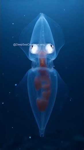Invisible except for its glowing eye organs 👁️✨ #GlassSquid #Transparent #AI