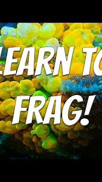 HOW TO FRAG A BOUNCE MUSHROOM!