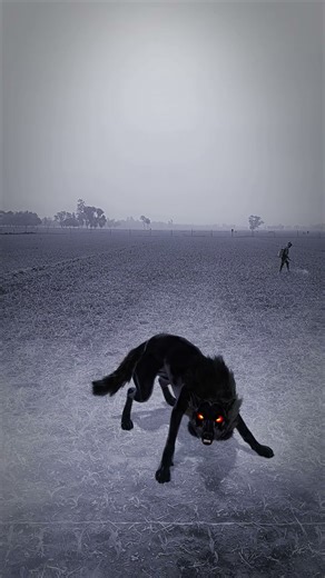 wolf holloing sound #ytshorts #shorts #wildlife