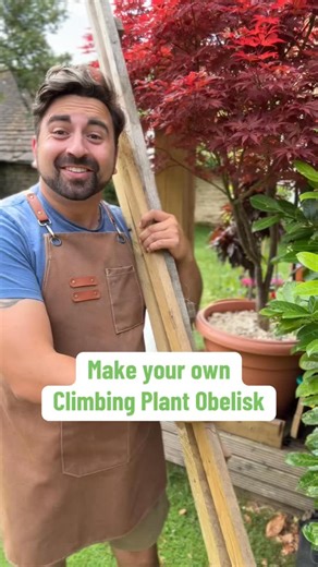 Make your own Climbing Trellis Obelisk for wisteria, jasmine, clematis and so much more with my step by step guide gardening inspiration. My easy gardening tips for beginner gardeners will help you make your own obelisk trellis any size you want with very inexpensive materials. #gardeningtips #beginnergardener #gardeninghacks #obelisk #trellis #diy #gardeningideas | Ish Kamran
