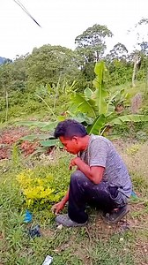 3.6M views · 61K reactions | Elza ya se operó  | Rey Rivera | Facebook