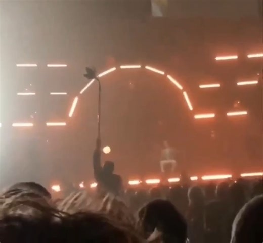 291K views · 6.6K reactions | The carnyx is an ancient wind...