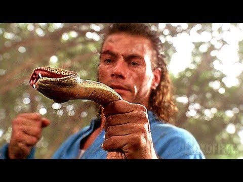 Jean-Claude Van Damme met une patate à un serpent | Chasse à l'homme | Extrait VF
