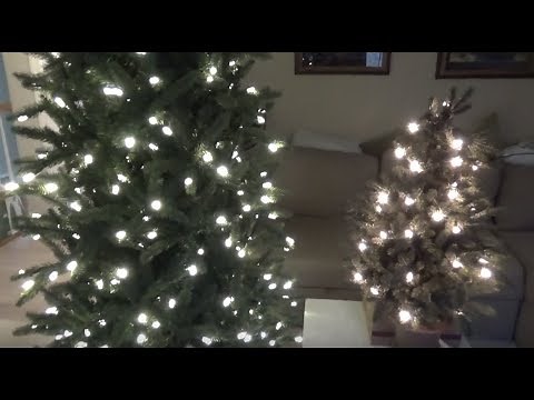 LED vs. Incandescent Christmas Lights