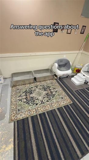 The Best Automatic Litter Box: Self-Cleaning Made Easy