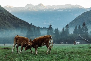 🌄 Do You Struggle to Capture a Landscape’s Full Beauty? 🌄 Have you ever captured a landscape that looked stunning in person, but flat and boring in your photographs? I used to return from once-in-a-lifetime trips feeling disappointed and embarrassed. My photos didn’t capture the beauty I witnessed. They were poorly exposed… I struggled to find great locations… and my composition was uninspiring. I knew I could do better. That was my experience before I mastered landscape photography 🏔️ Now I 