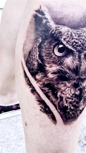 Tristan Renfro | Y103