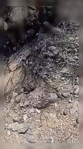 27K views · 416 reactions | Wearing carpet over their shoes and...