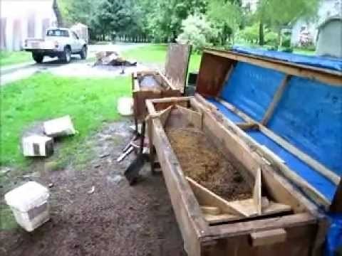 How to set up and run a black soldier fly larvae bin