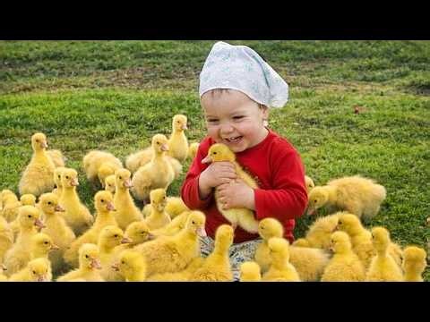 When Your Baby Finds Their Best Friend at the Farm ❤️