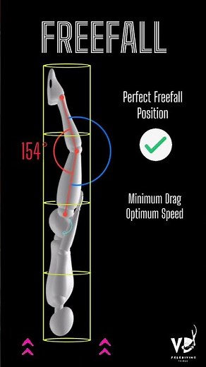 Freefall: Step-by-Step Guide for Freedivers #freediving