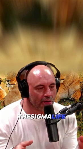 Biggest Lion Species: Discover the World's Largest Lions