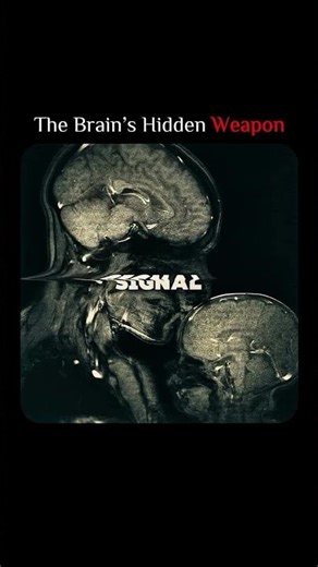 ⬇️ The Brain’s Hidden Weapon: The Anterior Mid-Cingulate Cortex