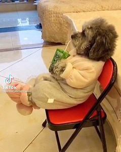 21K views · 349 reactions | It must be nice living rent free ❤️ | Chi Chi | Facebook