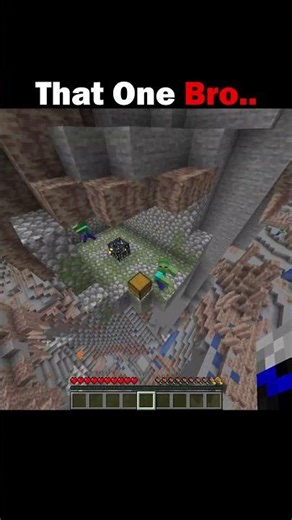 That One Bro For No Reason #minecraft