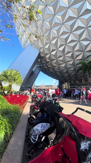 Snack Thief at Epcot