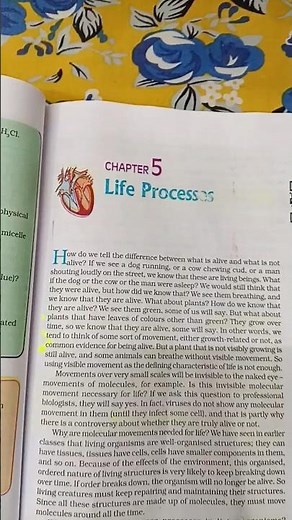 Class 10 Biology Ch 1 | Life Processes Quick Recap 🔥 #studyshorts #studymotivation #cbse