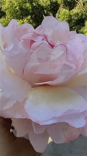 tissue flower diy l how to make flower with tissue pink 🌺 #ytshorts #papercraft #art #craft #flower