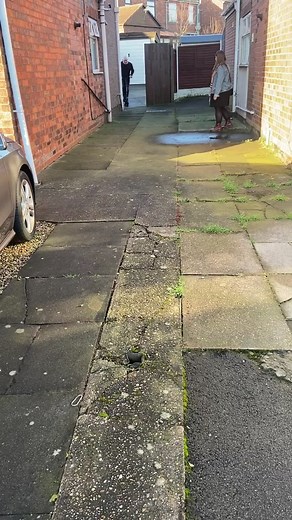 Lee McMahon on TikTok