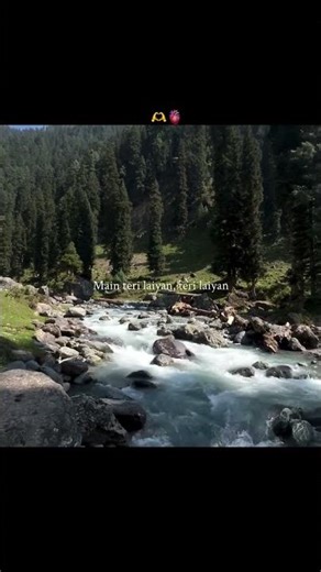 Dil Diya Galla #new #bollywood #love #music #8millionviews #trending #viral #kishmir #nature #suryam