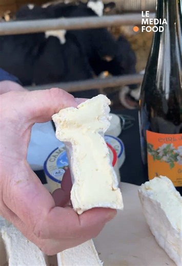 Fabrication du camembert fermier : étapes et secrets