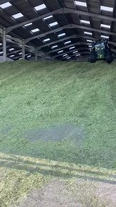 488 reactions |  It’s our second silage cut of the year! Farmers across the country have been watching the skies, waiting for the right weather window to make a second cut - and last week, Dr Graham, Stewart, Leanne and our farm team managed just that. Come along with Dr Graham as he takes you through the process and shows why quality silage is so important for our cows  #GrahamsTheFamilyDairy #FarmToFridge #ScottishDairy | Graham's The Family Dairy | Facebook