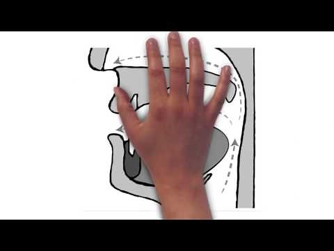 Brazilian Portuguese Pronunciation, Video 2: Portuguese Vowels