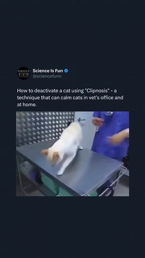 695K views · 6.7K reactions | Science Is Fun For Everyone on Reels | Facebook