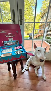 513K views · 9.7K reactions | Thank you @mrbeast @feastables #mrbeast #feastables #prgift #gift #dogs #mrbeastmerch #chocolate #dogmemes #funny | MisterMainer | Facebook