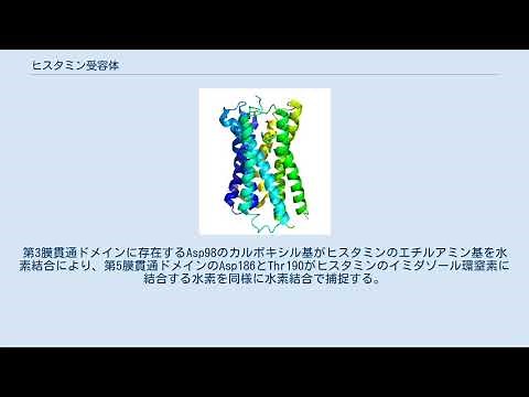 ヒスタミン受容体