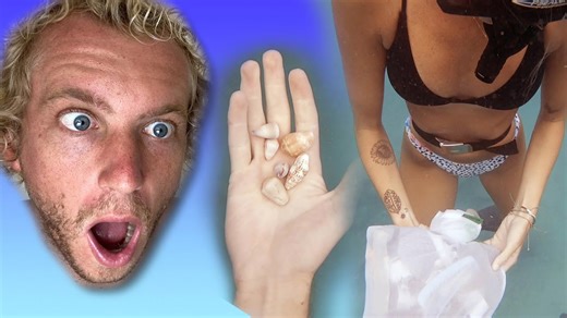 Diving for the Most Beautiful Shells in Hawai'i