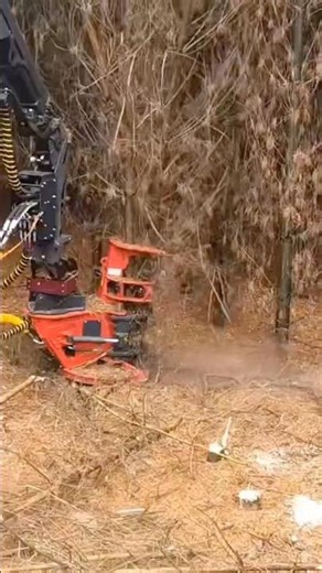 Greentec Forestcutter: the fastest way to harvest!
