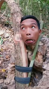 1.7M views · 4.6K reactions | Trapping skills 瘝 #trap #tripping #forest #survival #wildboar #wildlife #nature #OMG #naturelover #bushcraft | Dy Saya | Facebook