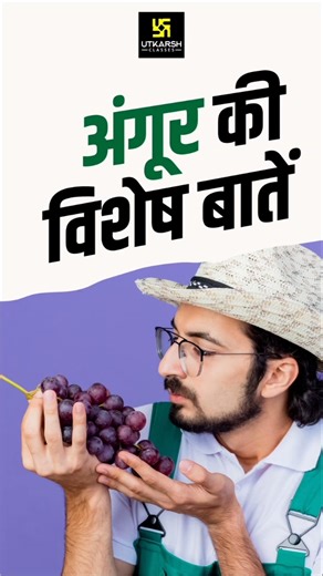 अंगूर का नेमेटोड के प्रति सहनशील मूलवृंत है #angur #grape #nematode #utkarshagricultureclasses