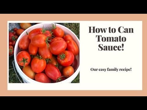How to Make and Can Tomato Sauce with your Vitamix!