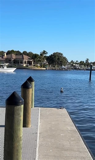 28K views · 510 reactions | Manatee pocket at Sandsprit Park. ️  #stuartflorida #stuart #portsalerno #boating #boat #fishing #pelicans #nature #florida | Hutchinson Island Florida | Facebook