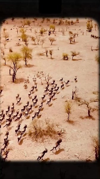 Safari Rally Kenya 2025: Experience the Ultimate Thrill